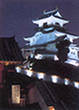 ライトアップされた夜の掛川城